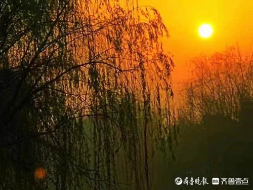 红太阳心水红太阳心水，探寻内心的光芒