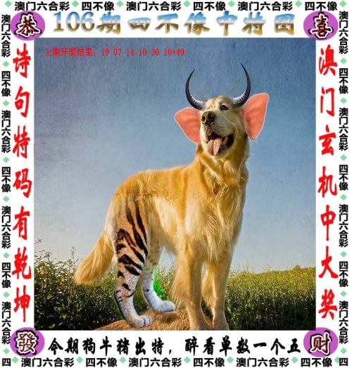 20024新澳天天开好彩大全160期一龙凤吉样20024新澳天天开好彩大全-第3张图片