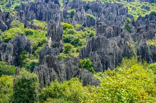 5a石林石林景区是几A级景区-第2张图片