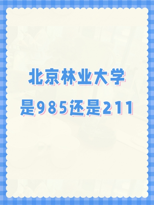 北京11选五开奖结果揭晓