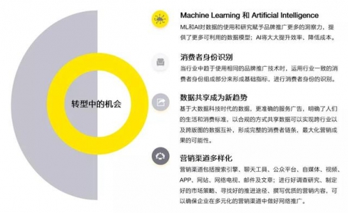 49223.com，探索数字时代的无限可能