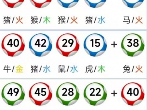 2023澳门必中肖码一肖一码攻略