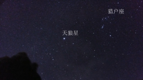 天狼星官网，探索星辰奥秘的权威平台-第1张图片