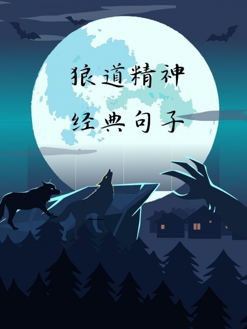 广西的狼精英主论坛在哪里广西狼精英主论坛，探索狼性精神的深度与广度
