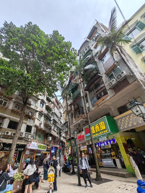 澳门最准最快的免费的澳门最准最快的免费服务体验-第2张图片