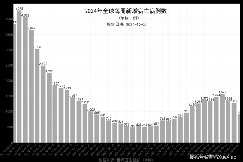 澳门开奖记录开奖结果2024新澳澳门开奖记录2024，回顾与展望-第2张图片