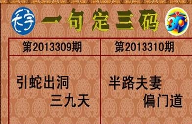 澳三码中特最网澳三码中特最网，引领数字时代的智慧之选-第1张图片