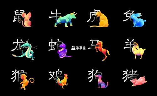 2023新版生肖卡表2023新版生肖卡，开启新一年的神秘魅力-第2张图片