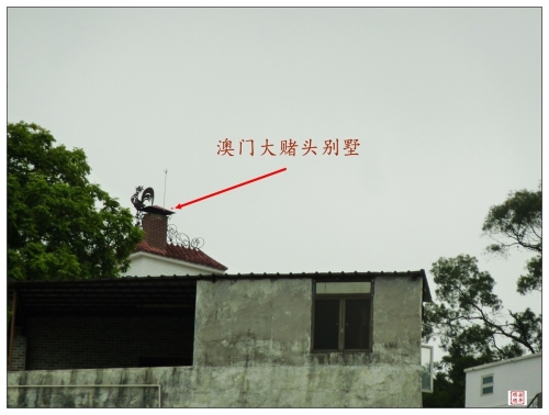 澳门码黄大仙资料大全-第1张图片
