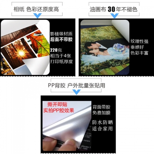 双色球走势预测