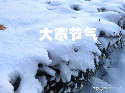 大寒是几月几日2022大寒是几月几日2022-第2张图片