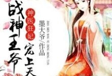 神医凰后傲娇暴君小说神医凰后强势宠全文免费阅读-第2张图片