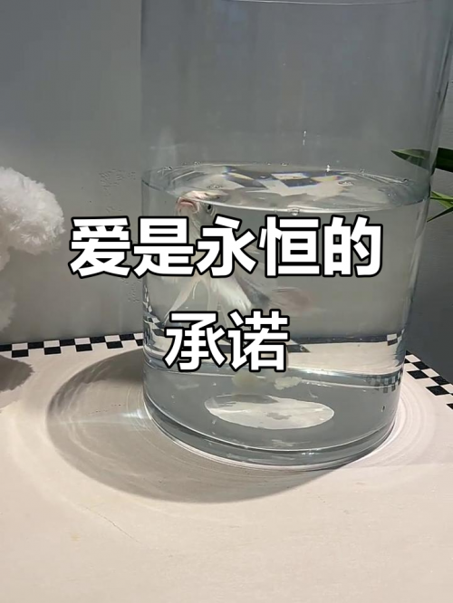 真爱你的云吉他谱真爱你的云吉他谱