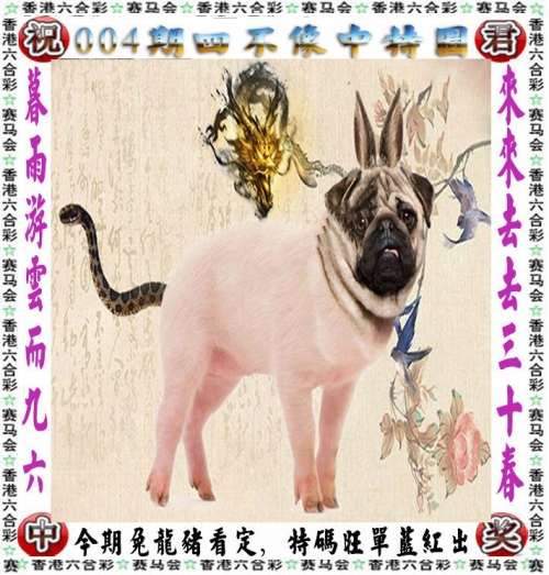 2023年一码一肖100%准确结果2023年一码一肖，预测与准确性的保证-第2张图片