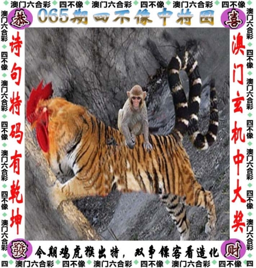 2023的澳门开奖结果查询今天开什么澳门2023开奖结果查询-第2张图片