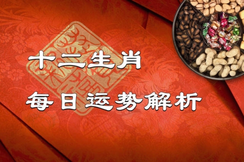 2021年23期今晚开什么生肖今晚必出一肖一码，2023年的预言与展望