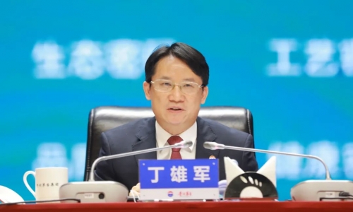 丁雄军，勇往直前的企业家-第3张图片