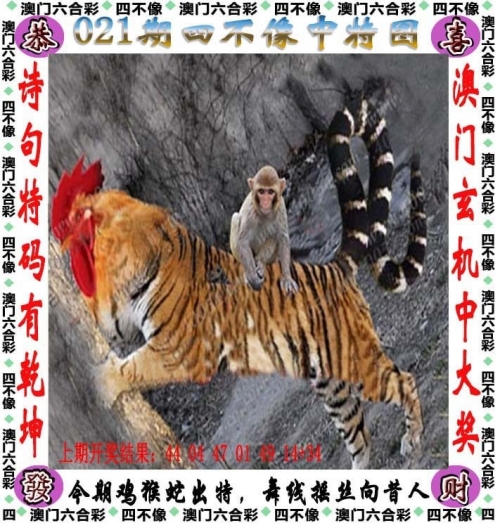 2024新奥历史开奖记录46期幽默2024新奥历史开奖记录46期，回顾与展望