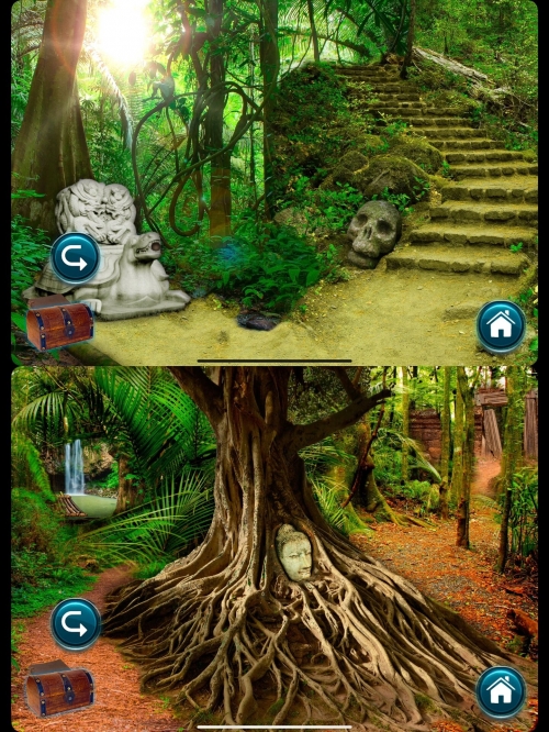 森林游戏攻略森林游戏，探索自然的奇妙世界-第3张图片