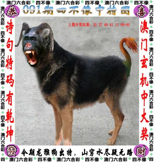管家婆2019开奖结果揭晓
