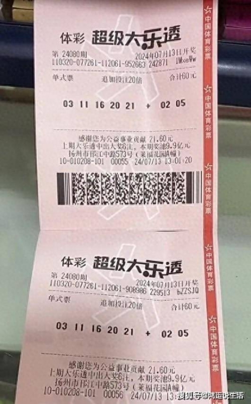 大乐透新浪彩票，新潮玩法，乐趣无穷