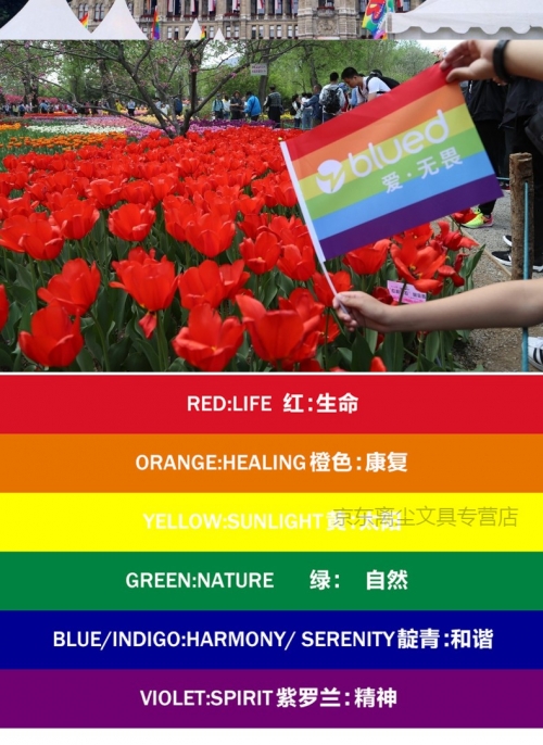 彩虹旗论坛彩虹旗论坛，探索网络交流的新天地-第1张图片