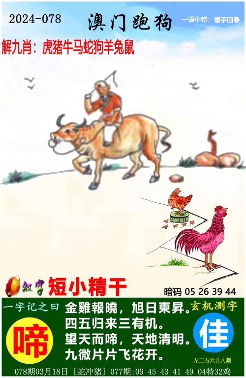 澳门最准一肖一码100%澳门最准一肖一码，预测与策略-第2张图片