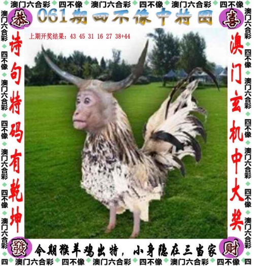 2019年香港四不像特肖2019年香港四不像正版概述-第1张图片