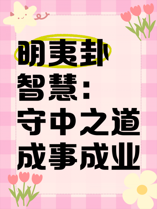 5682神算网5682神算网，智慧之网，算计之道