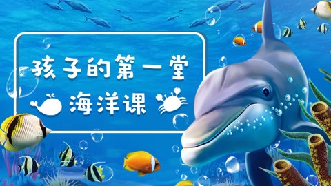 大彩鲸大彩鲸，神秘的海洋生物-第2张图片