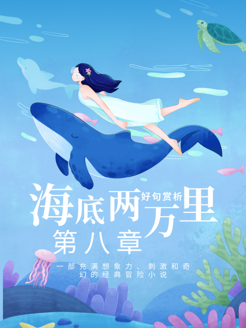 大彩鲸大彩鲸，神秘的海洋生物-第3张图片