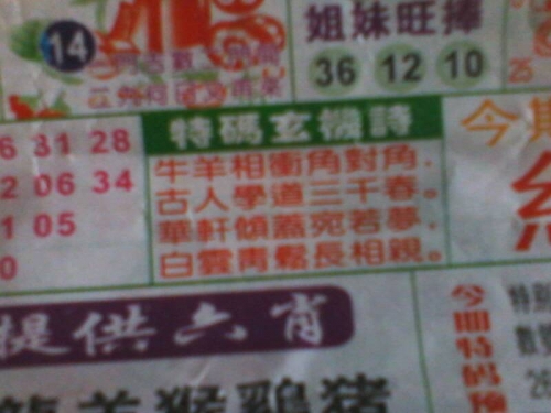 一肖一码中持一一肖一最准一肖一码一一子中特7955，揭秘彩票预测与号码分析
