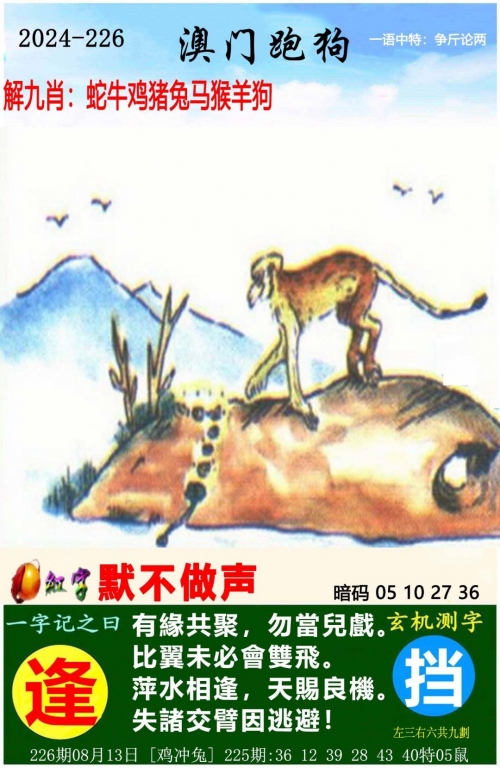 管家婆一肖一码100正确解析