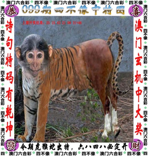 2023澳门开奖结果今晚开奖2023澳门开奖结果今晚APP揭晓，预测与展望