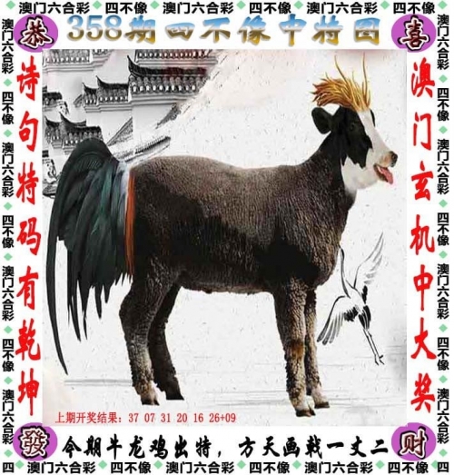 澳门一码一肖一待一中四不像澳门一码一肖，神秘之谜与四不像的等待