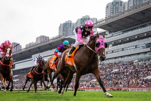 2020今晚已开特马+开奖结果最新2020今晚特马盛况