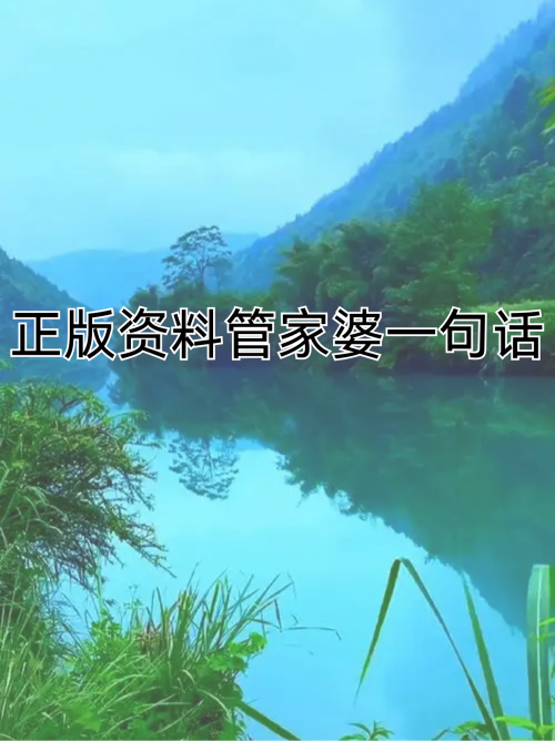 管家婆免费2023资料大全