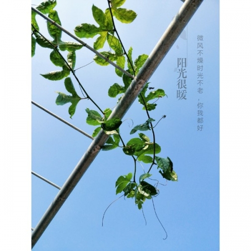 幸运28，生活中的小确幸