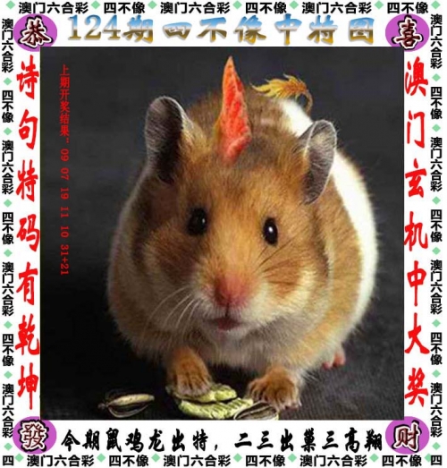澳门天天彩资料正版免费特色澳门天天彩资料正版免费特色介绍