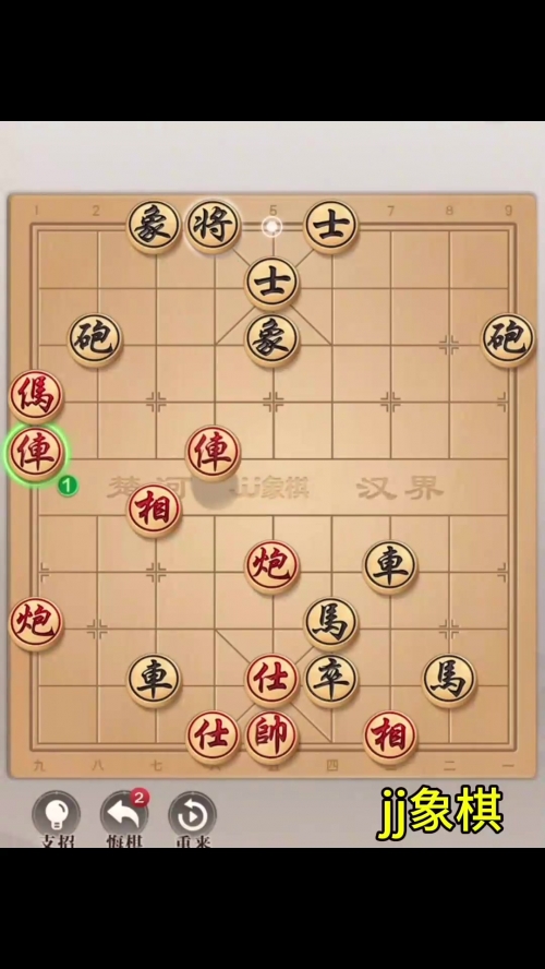 中国象棋大师王，棋艺精湛，成就非凡