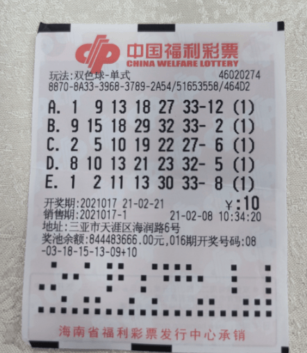 2024新奥历史开奖记录81期，回顾与展望