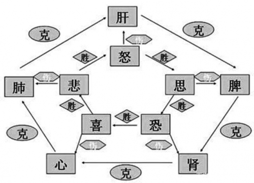 七情六欲打一个生肖七情六欲打一个生肖