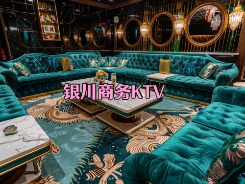 满天星KTV之夜，沉浸在璀璨星辰下的欢歌-第3张图片