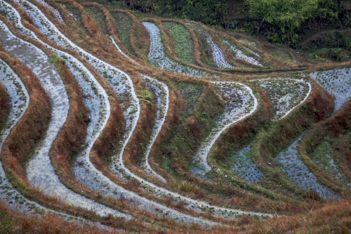 满地红图源，探寻艺术与自然的和谐共生-第2张图片