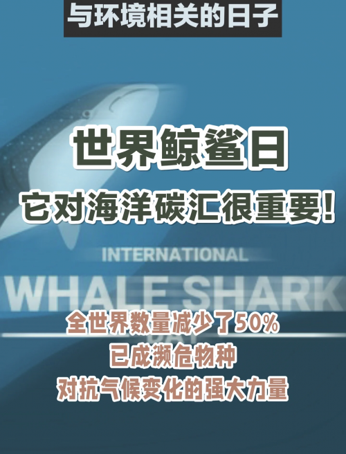 捕鱼星力，海洋生态与人类捕捞的新篇章-第1张图片