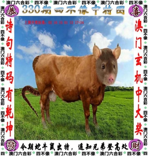 管家婆特一肖必出特一肖管家婆特一肖必出特一肖，神秘预测与成功秘诀