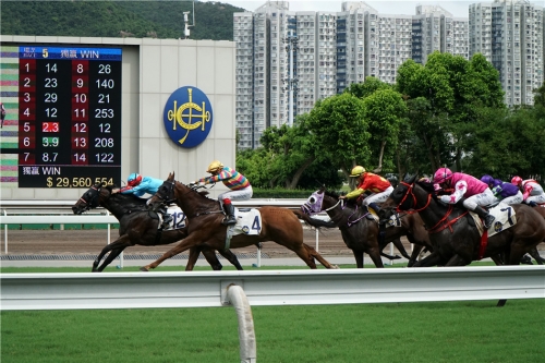 马会正版香港资料大全一小香港正版马会资料-第2张图片