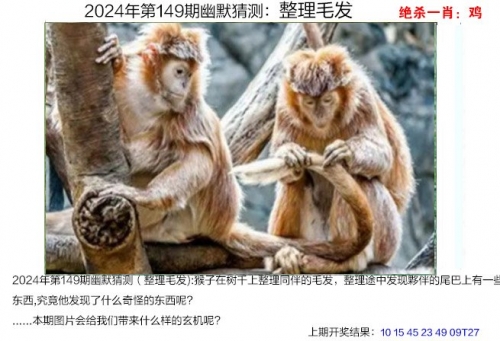 2023年澳门正版资料大全62023年澳门正版资料大全-第2张图片