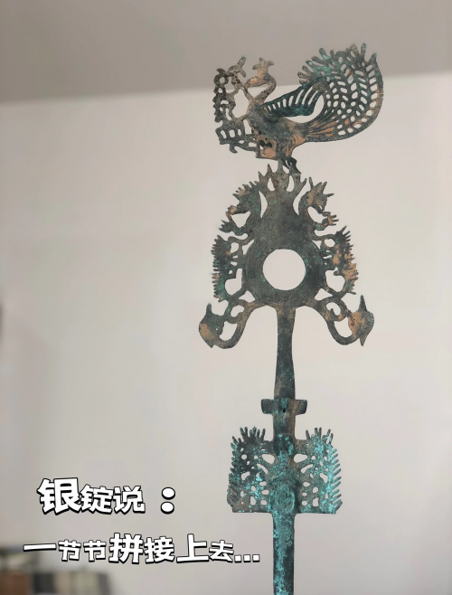 摇钱树心水忪坛334435，探索神秘之地-第2张图片