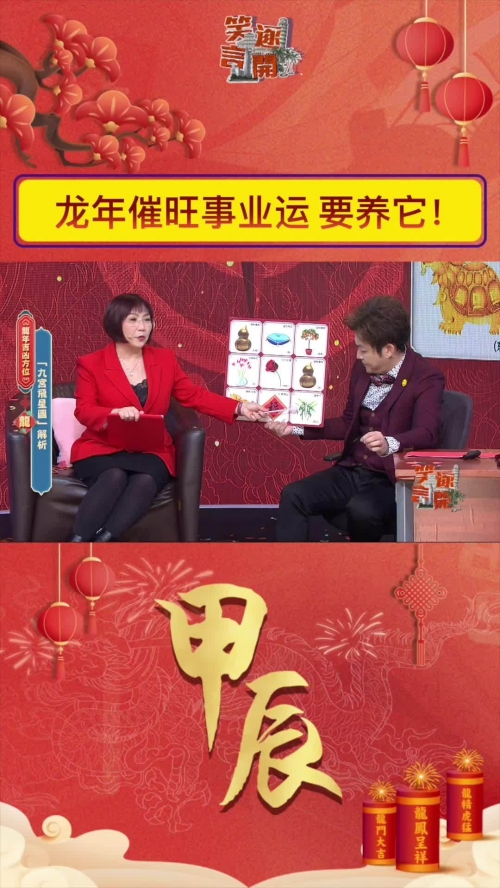 麦玲玲2024年龙年运程